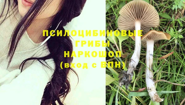 спайс Абинск