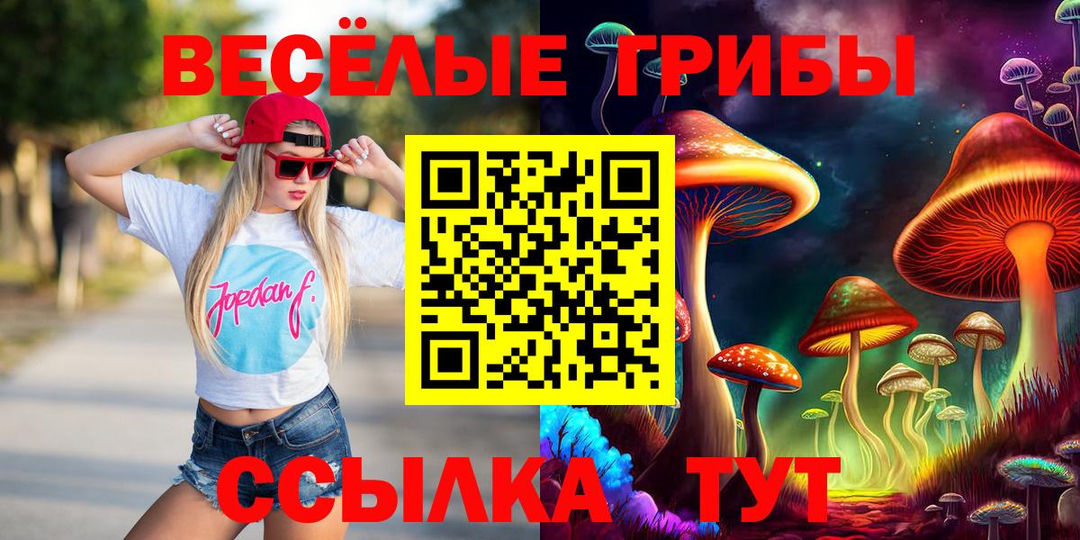 Галлюциногенные грибы GOLDEN TEACHER Камень-на-Оби